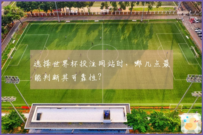 选择世界杯投注网站时，哪几点最能判断其可靠性？