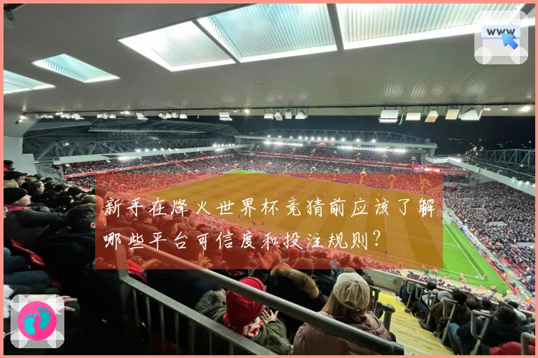 新手在烽火世界杯竞猜前应该了解哪些平台可信度和投注规则？
