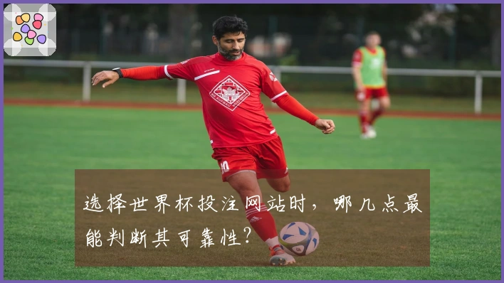 选择世界杯投注网站时，哪几点最能判断其可靠性？