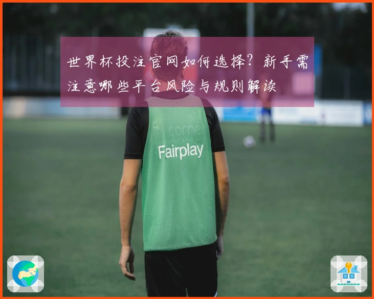世界杯投注官网如何选择？新手需注意哪些平台风险与规则解读